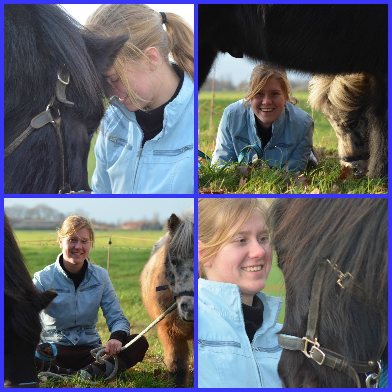 Equine assisted Coaching